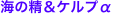 shapeimage_2_link_9
